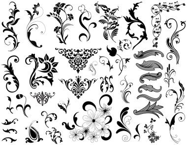 Floral Vector Set clipart