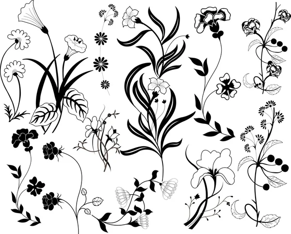Belles fleurs vecteur — Image vectorielle