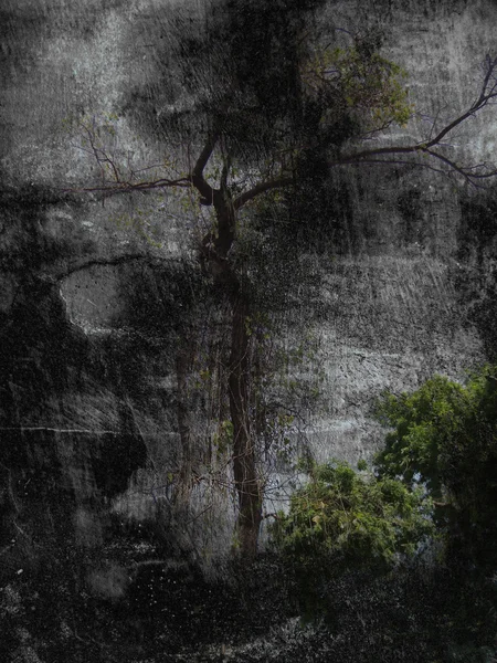 Mörka brända träd textur bakgrund — Stockfoto
