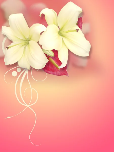 Krásné květy na měkké barvy pozadí — Stock fotografie