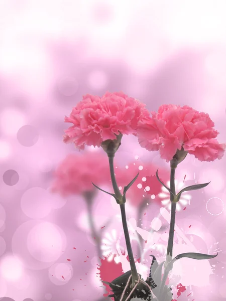 Χαριτωμένο λουλούδια στο θάμπωμα φόντου — Φωτογραφία Αρχείου