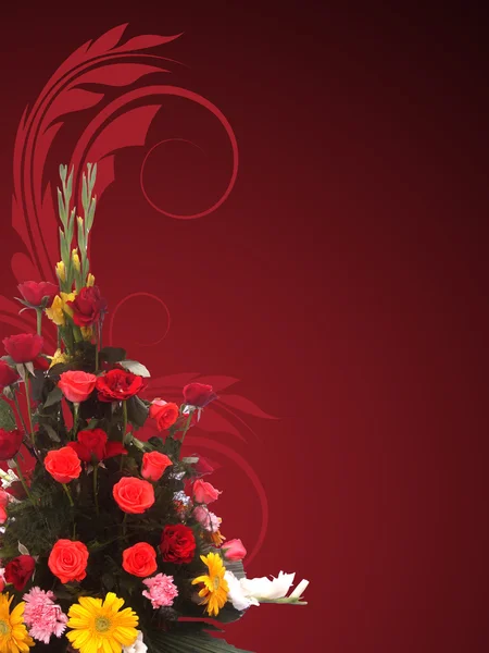 Vackra blommor på röd bakgrund — Stockfoto