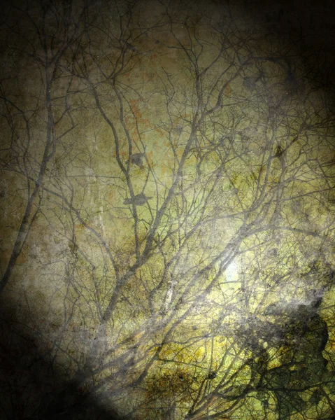 Grunge Tree Background — Stock Photo, Image