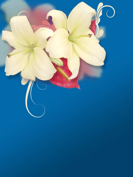 Jemné květiny na modrém pozadí — Stock fotografie
