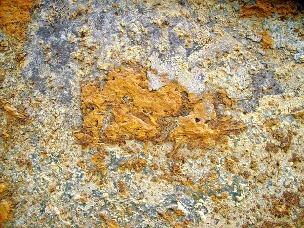 Dirty Fungus Wall Texture — Stock Photo, Image