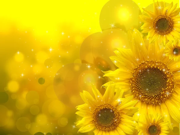 Zonnebloemen op gele achtergrond — Stockfoto