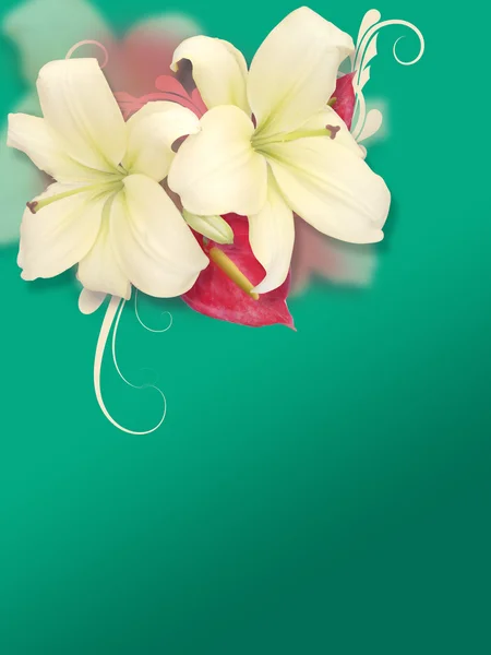 아름 다운 꽃 장식 배경 — 스톡 사진
