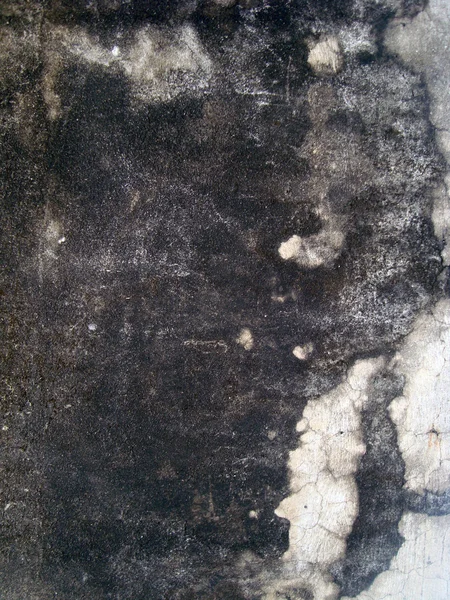 汚れた菌壁 — ストック写真