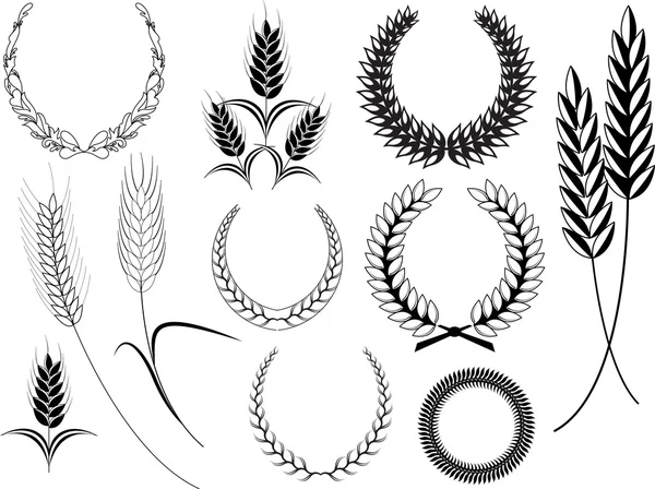 Diseño antiguo de Laurel corona y elementos de orejas de trigo — Archivo Imágenes Vectoriales