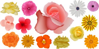 Colorful Flowers Collection clipart