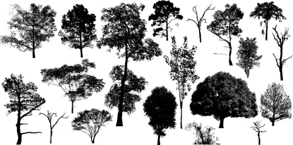 Collection d'arbres naturels — Image vectorielle
