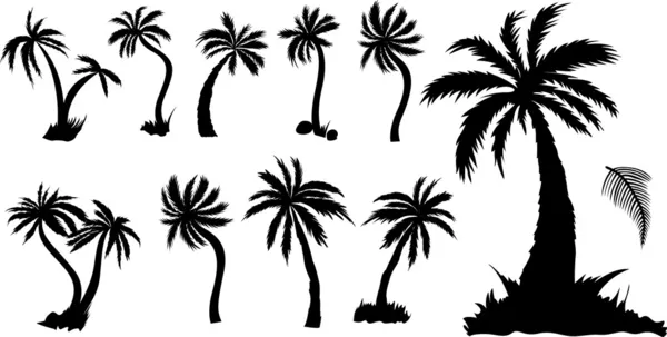 Palm δέντρα σιλουέτες σχεδιασμού — Διανυσματικό Αρχείο