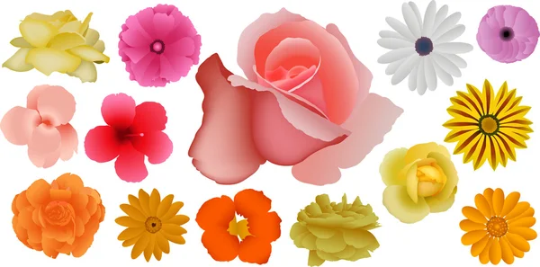 Kolekce barevné květy — Stockový vektor