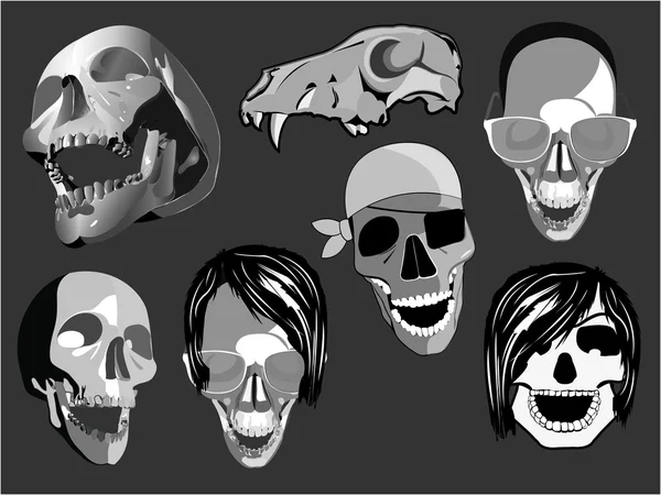Ilustración de caras de cráneo aislado — Archivo Imágenes Vectoriales