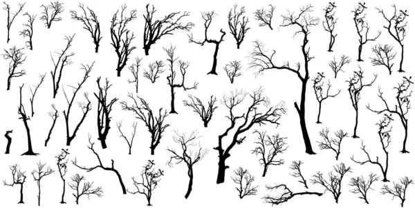 Large Collection Of Dead Trees Silhouettes Set — Stock Vector