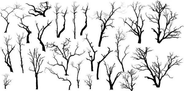 Zestaw na białym tle martwych drzew — Wektor stockowy