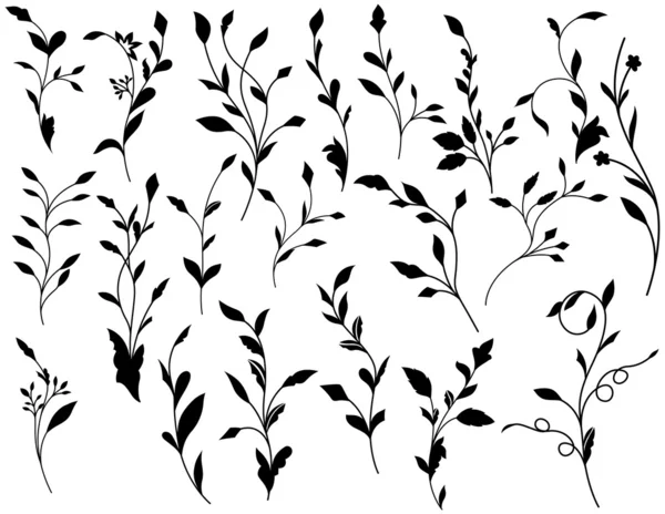 검은 모양 잎 요소 디자인 — 스톡 벡터