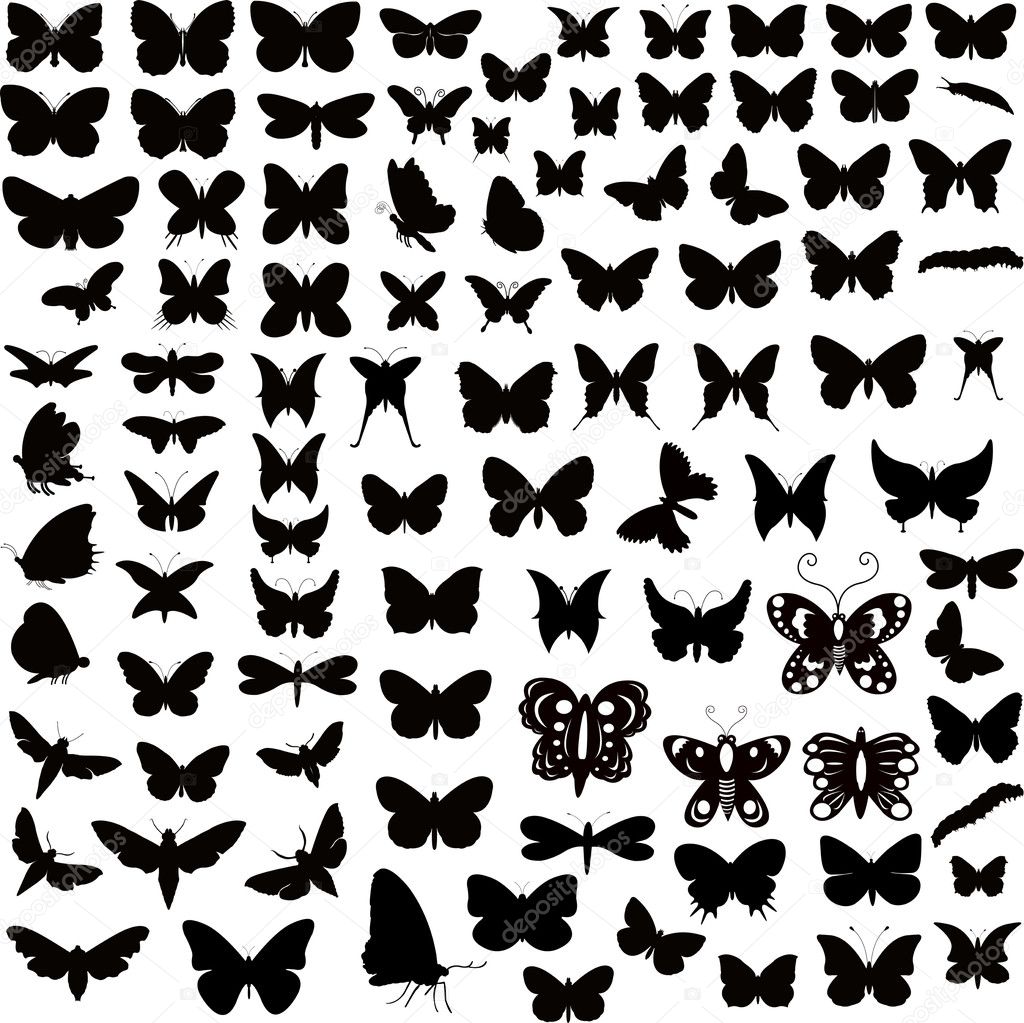 Large Collection Of Butterflies Silhouettes