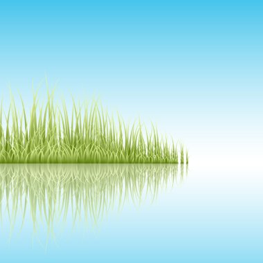 Grass Reflection In The River clipart