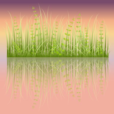 Ancient Reflected Grassline clipart