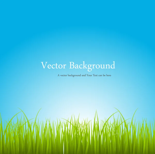Fresh Grass Leafs On Blue Backdrop — Stock Vector