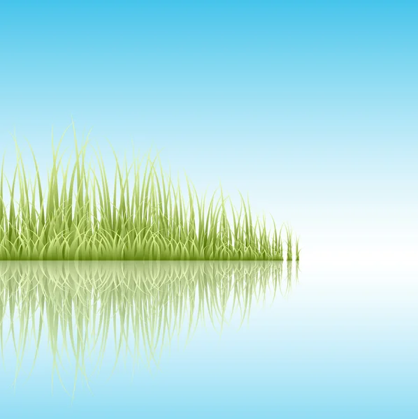 Gräs reflektion i floden — Stock vektor