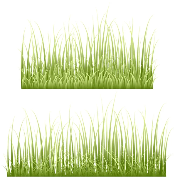 Set Of Dry Grasses — Stock Vector