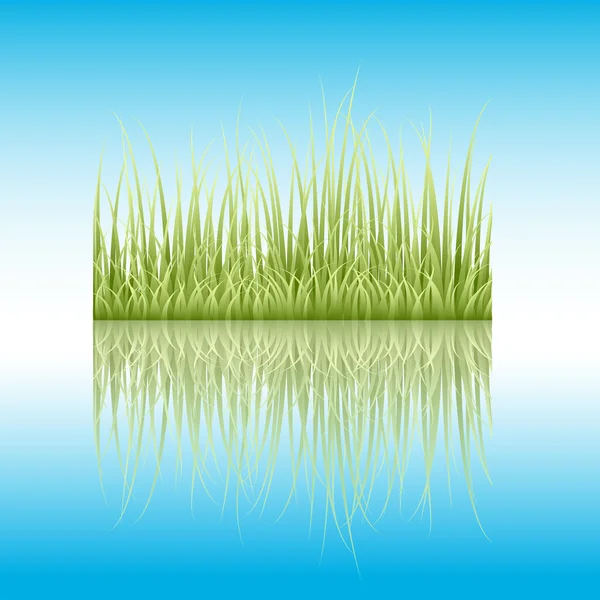 Reflekterande gräs i mitten av floden — Stock vektor