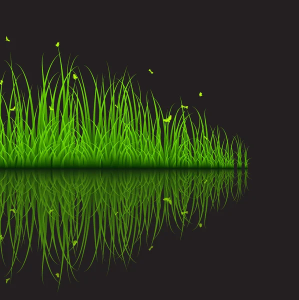 Herbe verte sur fond noir — Image vectorielle