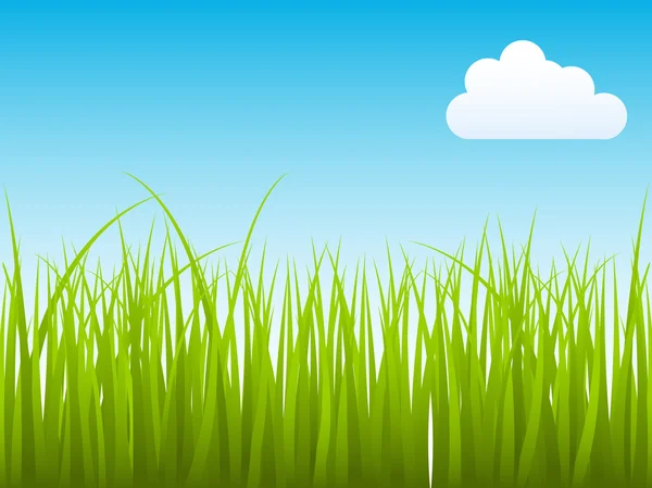 Naturligt gräs med himlen moln — Stock vektor