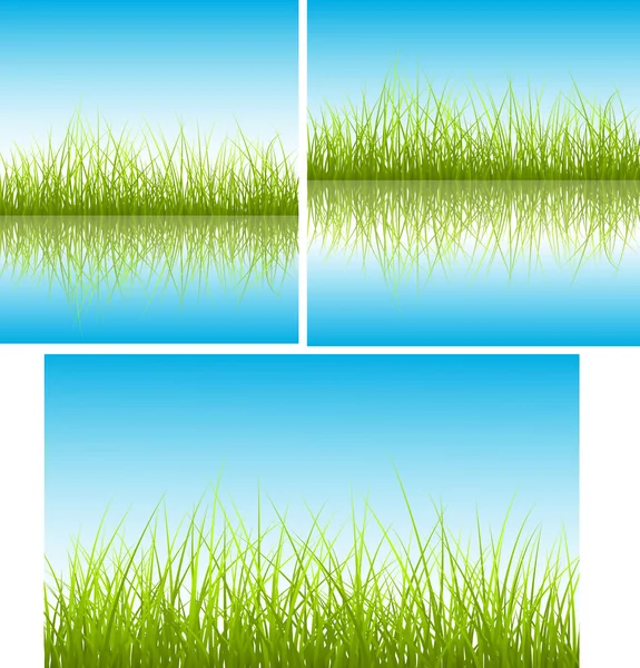 Grönt gräs på blå bakgrund — Stock vektor