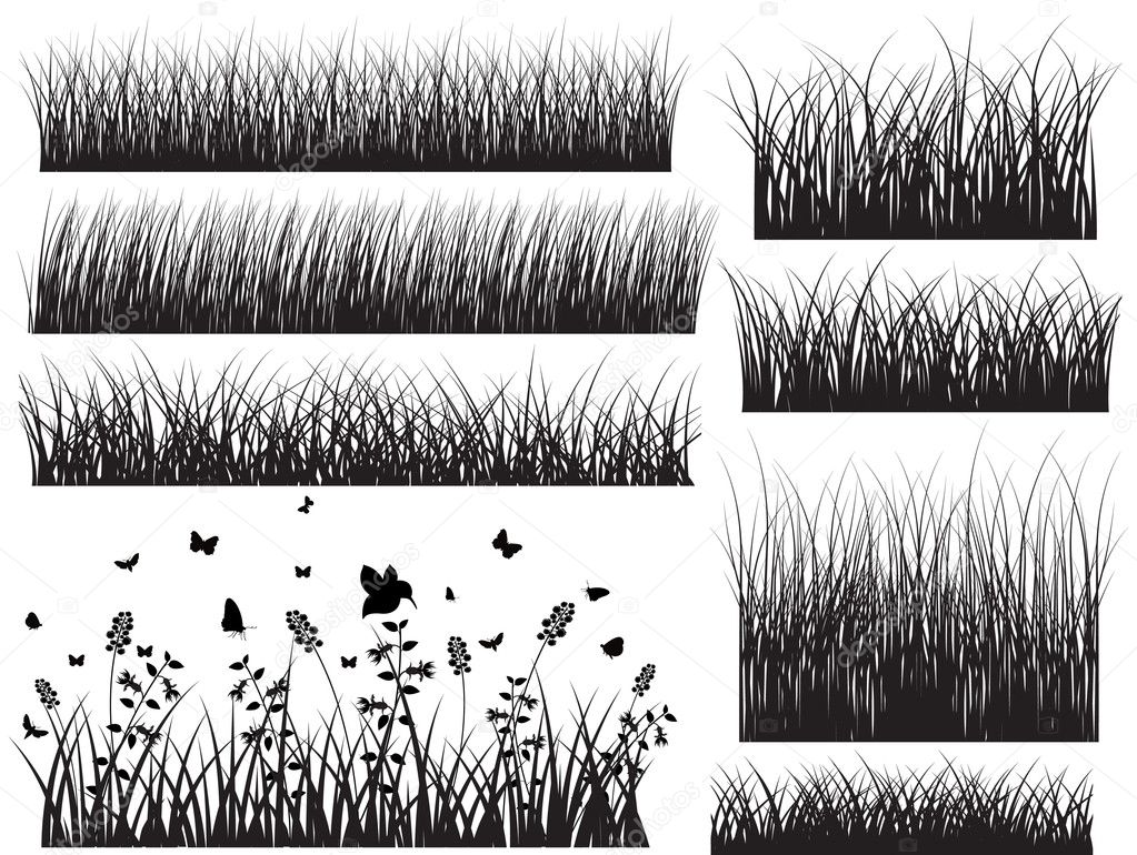 Black Shape Grasses With Insect