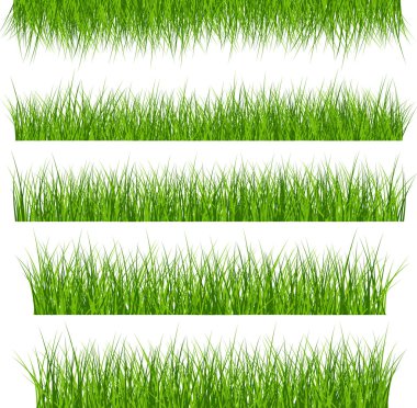 5 Vector Set Of Green Grass clipart