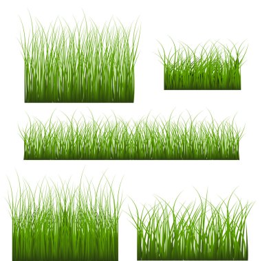 Vector Set Of Green Grass clipart