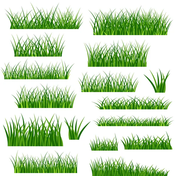 绿草的叶子 — 图库矢量图片
