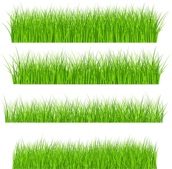 Yeşil çimen çizim seti — Stok Vektör