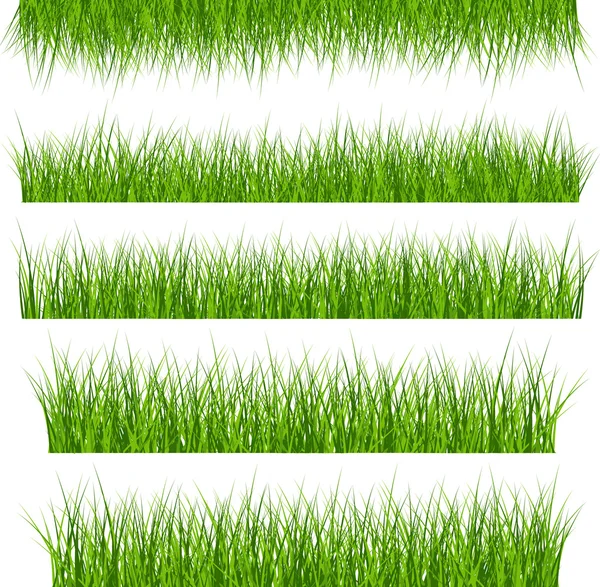 5 set vettoriale di erba verde — Vettoriale Stock