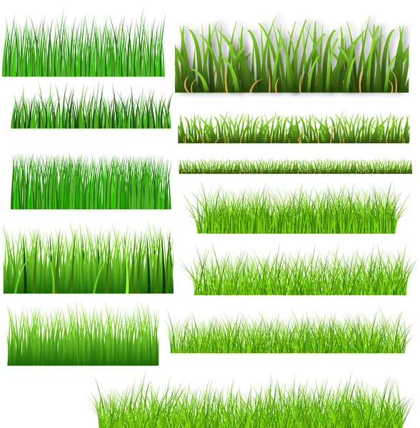 Different Type Grassline Collection — Stock Vector