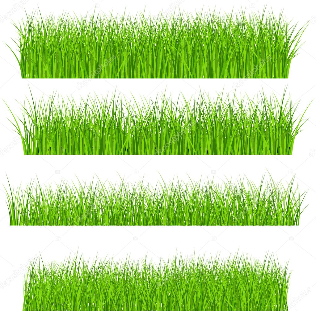 Set Of Green Grass Illustration