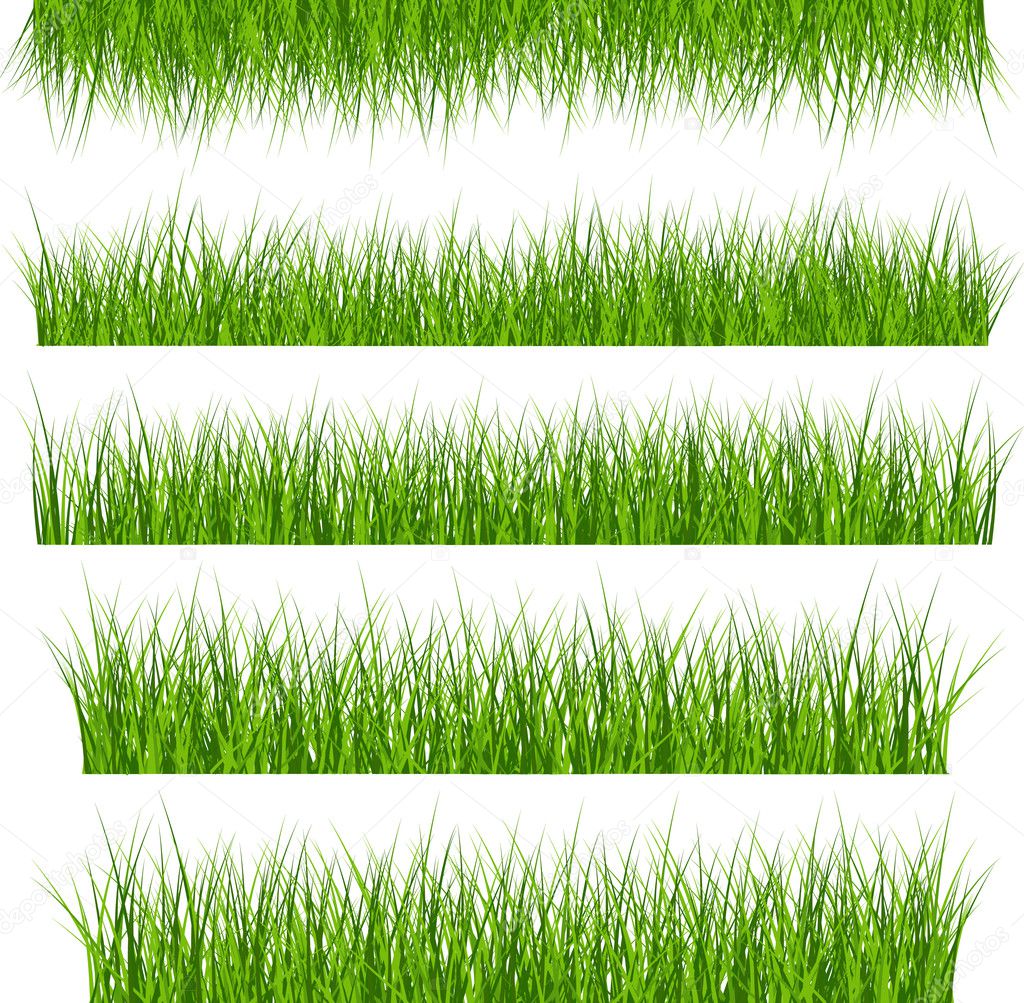 5 Vector Set Of Green Grass