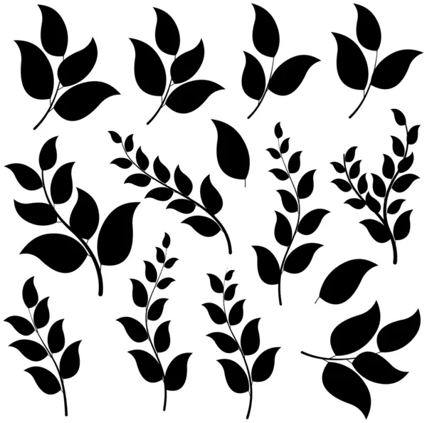 Elementi di foglie di forma nera — Vettoriale Stock