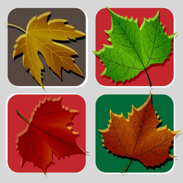 Isolated Leafs Illustration Set — Stock Vector