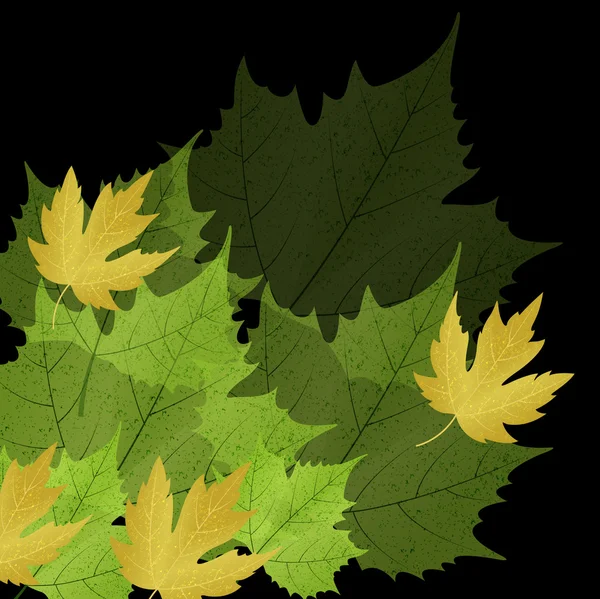 Πυκνή ομίχλη φθινόπωρο φύλλα στοιχεία σε σκούρο φόντο — Διανυσματικό Αρχείο