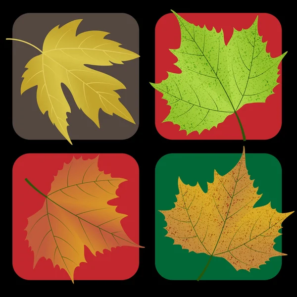 Uppsättning av hösten leafs illustration — Stock vektor