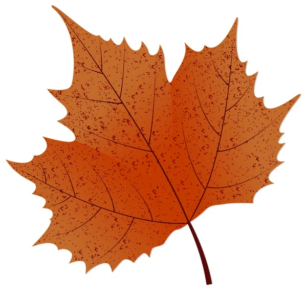 Red Ecological Leaf Illustration — Stock Vector