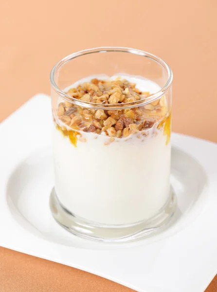 Mléčné výrobky jogurt — Stock fotografie
