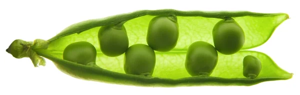 stock image Peapod