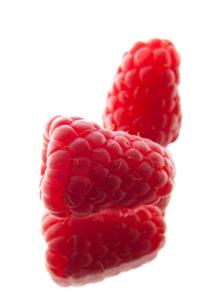 Raspberry — Stock Photo, Image