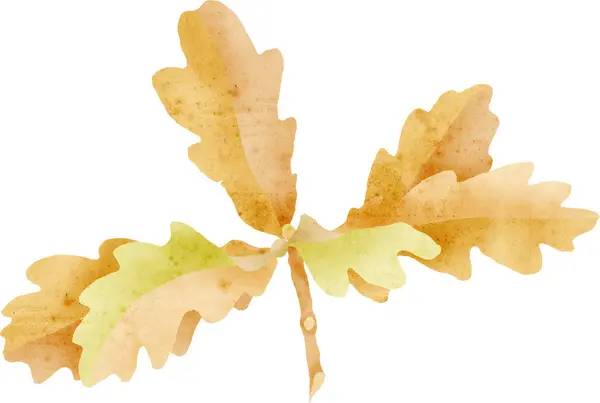 Oak leaves cluster, e- collage with paper texture — Stock Photo, Image