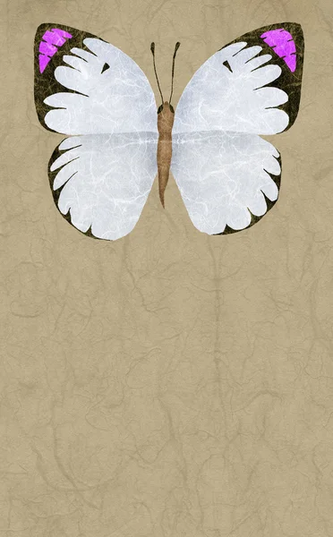 Motýl koláž — Stock fotografie